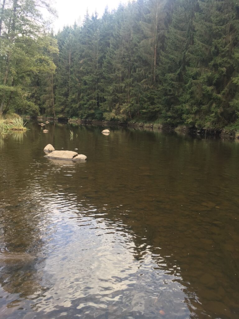 Vorher